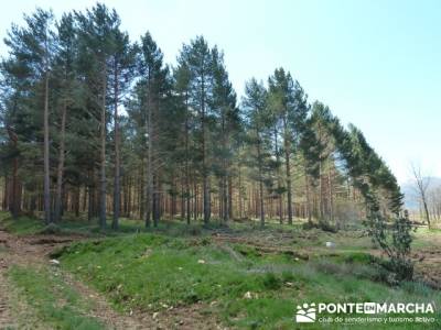 La pradera de la ermita de San Benito;rutas de montaña madrid;rutas de senderismo madrid